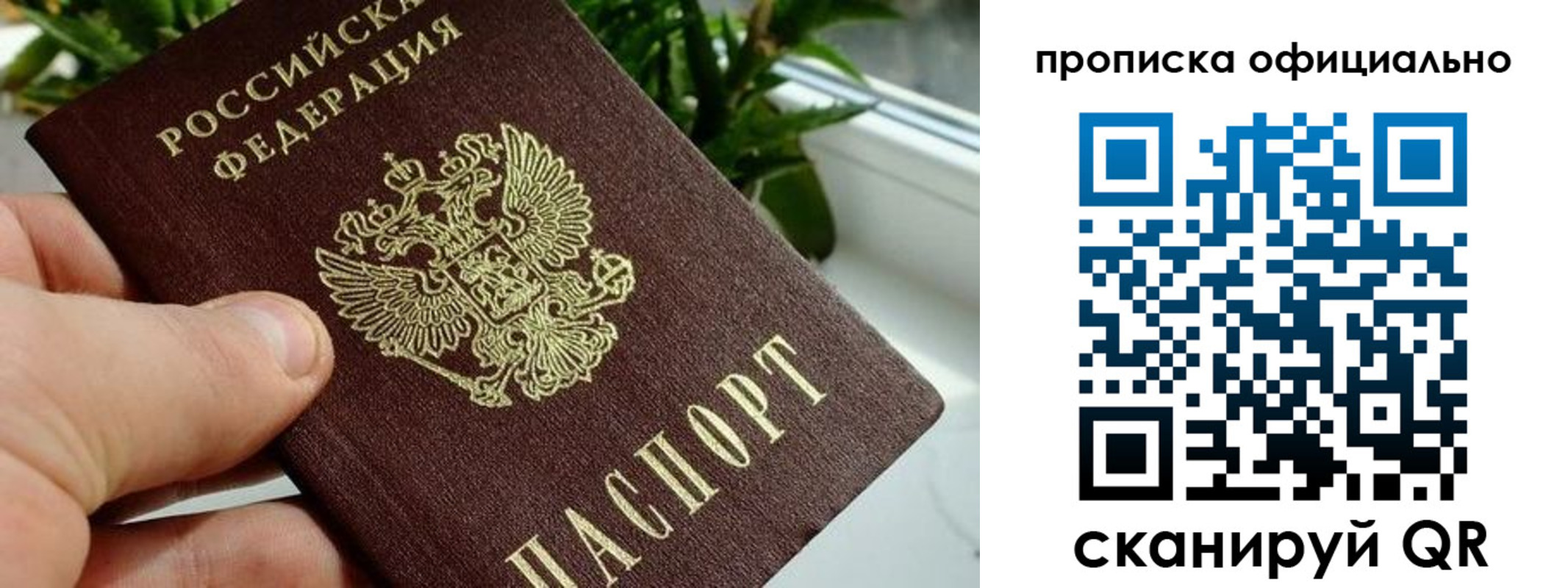 прописка поиск в Заречном
